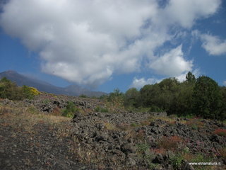 anobello-26-05-2013 09-29-03